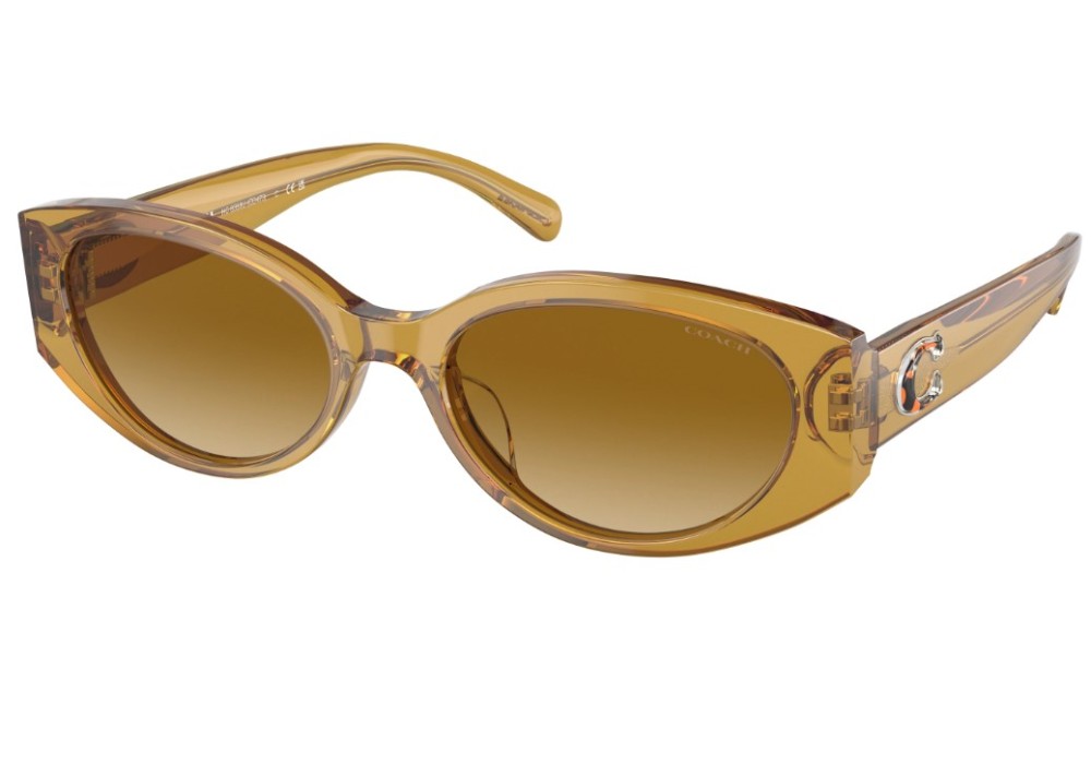 Gafas coach mujer deals