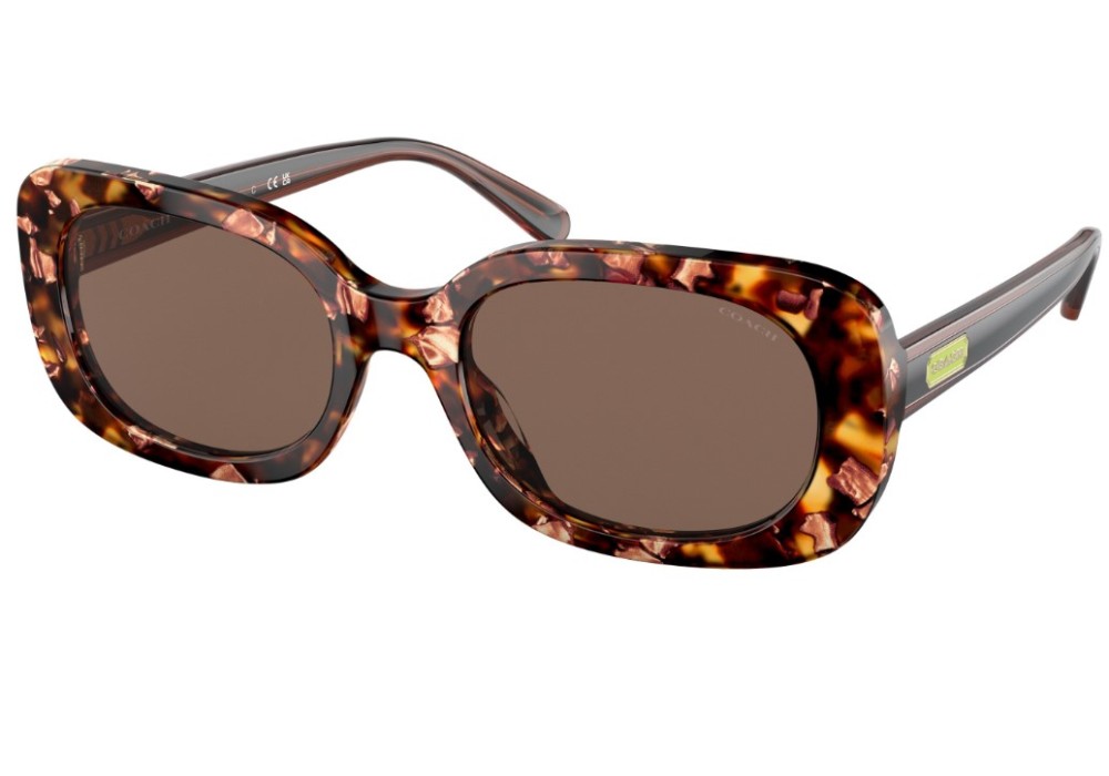 Lentes de Sol Coach: The Ultimate Guide to Stylish Sun Protection